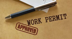 əcnəbilərə iş icazələrinin verilməsi, iş icazəsi olmadan işləmək