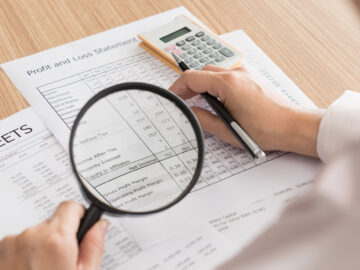 Dövlət auditi, Auditorlar, Audit xidməti